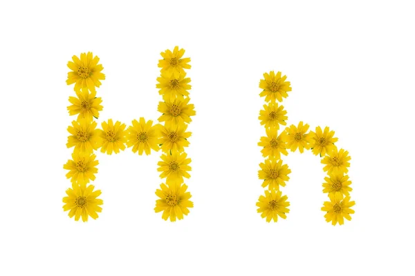 白い背景に分離された黄色のオニシバ花から作られたアルファベット — ストック写真