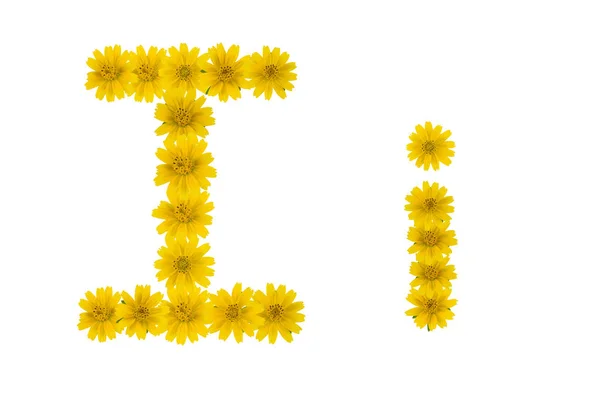 Buchstabe Alphabet Aus Gelben Wedelia Blumen Isoliert Auf Weißem Hintergrund — Stockfoto