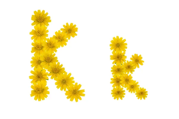 Buchstabe Alphabet Aus Gelben Wedelia Blumen Isoliert Auf Weißem Hintergrund — Stockfoto