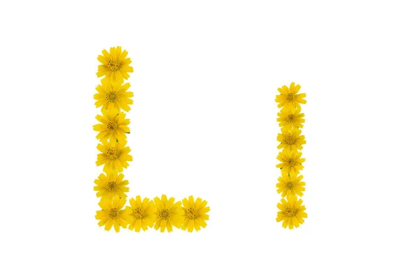 Buchstabe Alphabet Aus Gelben Wedelia Blumen Isoliert Auf Weißem Hintergrund — Stockfoto