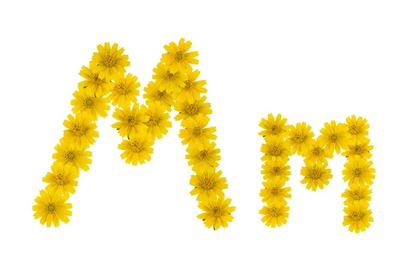 Literę Alfabet Wykonane Wedelia Kwiaty Białym Tle — Zdjęcie stockowe