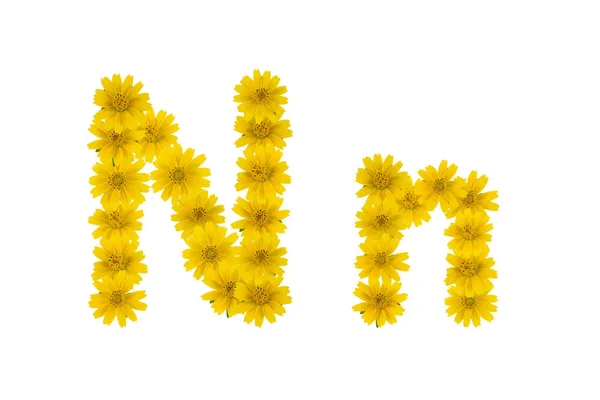 Buchstabe Alphabet Aus Gelben Wedelia Blüten Isoliert Auf Weißem Hintergrund — Stockfoto