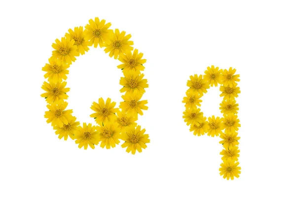 Buchstabe Alphabet Aus Gelben Wedelia Blüten Isoliert Auf Weißem Hintergrund — Stockfoto