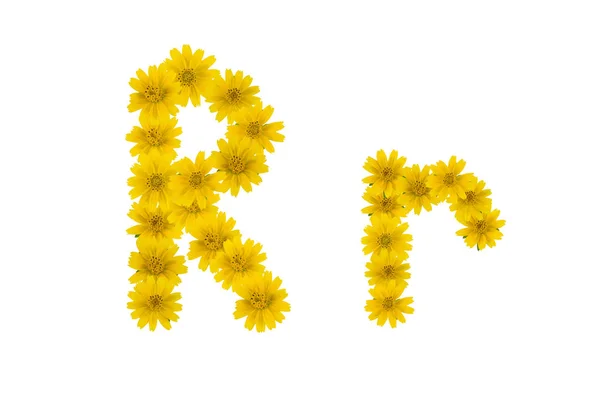 Buchstabe Alphabet Aus Gelben Wedelia Blumen Isoliert Auf Weißem Hintergrund — Stockfoto