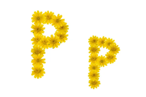Buchstabe Alphabet Aus Gelben Wedelia Blüten Isoliert Auf Weißem Hintergrund — Stockfoto