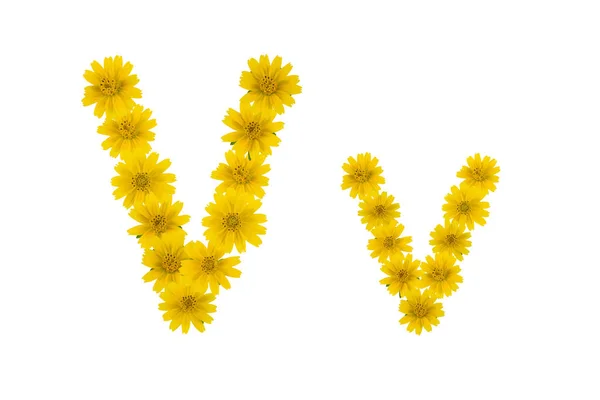 Letter Alfabet Gemaakt Van Gele Wedelia Bloemen Geïsoleerd Witte Achtergrond — Stockfoto