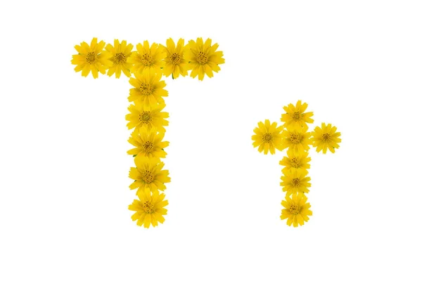 Buchstabe Alphabet Aus Gelben Wedelia Blumen Isoliert Auf Weißem Hintergrund — Stockfoto