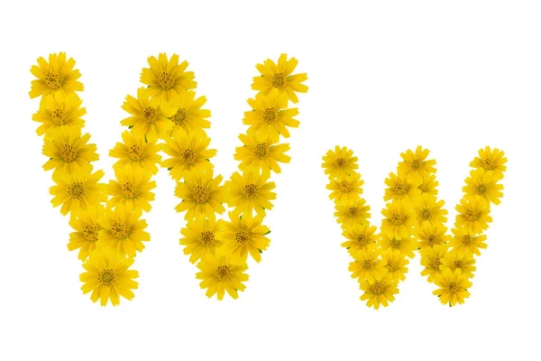 Buchstabe Alphabet Aus Gelben Wedelia Blüten Isoliert Auf Weißem Hintergrund — Stockfoto