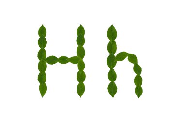 H harfi, beyaz arka plan üzerinde izole yeşil yaprakları yapılmış alfabesi