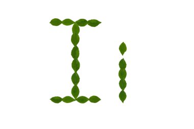 Ben yeşil yapraklarından yapılmış alfabe beyaz arka plan üzerinde izole mektup