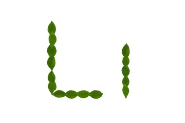 L harfi, beyaz arka plan üzerinde izole yeşil yaprakları yapılmış alfabesi