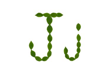 J harfi, beyaz arka plan üzerinde izole yeşil yaprakları yapılmış alfabesi