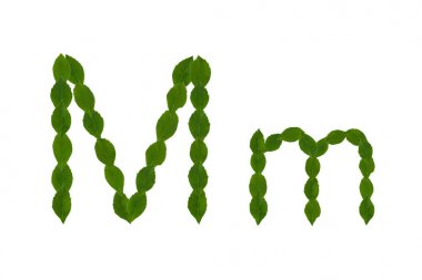 Harf M, beyaz arka plan üzerinde izole yeşil yaprakları yapılmış alfabesi