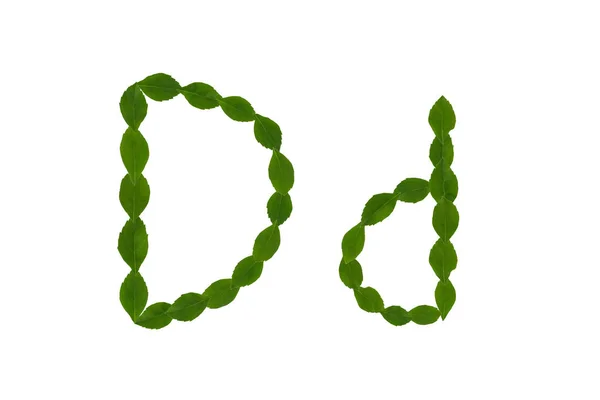の文字 白い背景に分離された緑の葉から作られたアルファベット — ストック写真