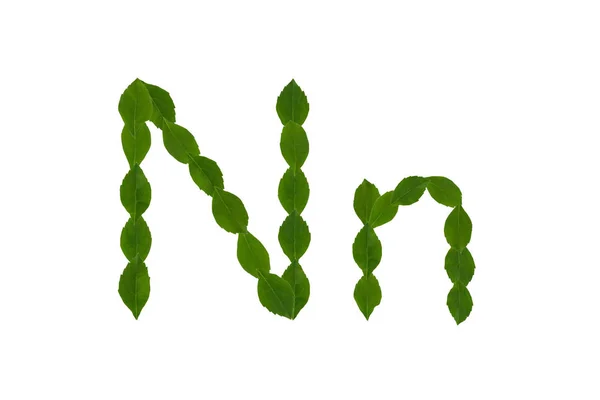 Буква Алфавит Зеленых Листьев Выделенных Белом Фоне — стоковое фото