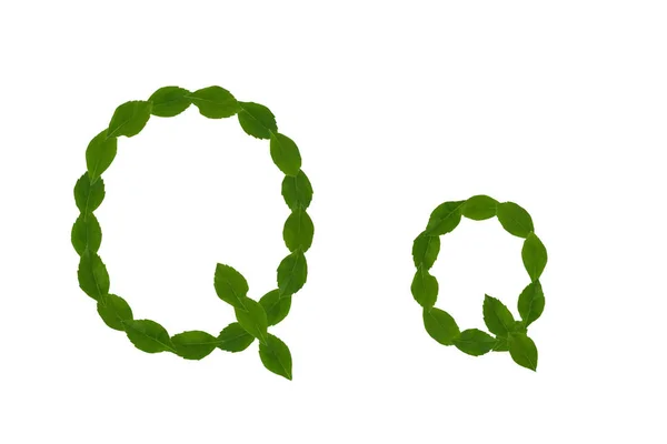 字母表由绿色叶子隔绝在白色背景 — 图库照片