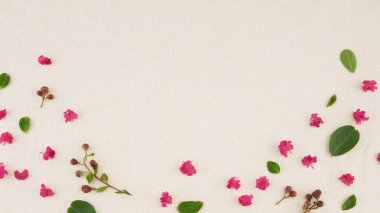 Pembe krep myrtle yaprakları, yaprak ve tomurcuklanma çiçek muslin kumaş kopya alanı ile