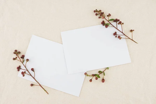 Dois Cartões Brancos Branco Decorados Com Flores Brotantes Murta Crape — Fotografia de Stock