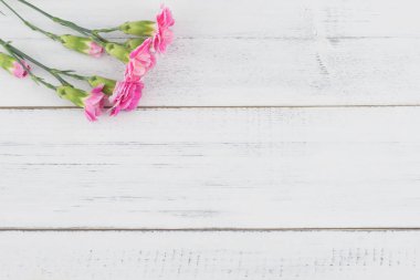 Pembe karanfil çiçek buketi beyaz tahta arka plan ile kopya alanı üzerinde