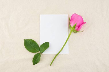 Beyaz muslin kumaş ile kopya alanı boş beyaz kartı pembe Gül ve yeşil yaprak