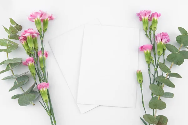 Zwei Leere Weiße Karten Mit Baby Eukalyptusblättern Und Rosa Nelkenblüten — Stockfoto