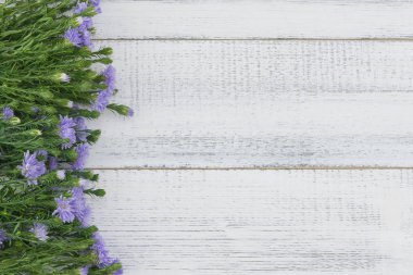 Beyaz ahşap arka plan kopya alanı ile yeşil dallarda çiçeklerle mor kesici