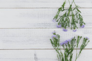 Beyaz ahşap arka plan kopya alanı ile yeşil dallarda çiçeklerle mor kesici