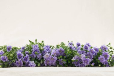 Kopya alanı ile yan görünümden mor kesici çiçekler