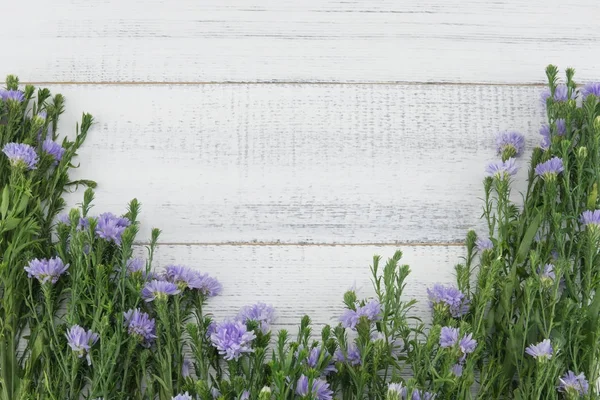 Purple cutter flowers with green branches on white wood background with copy space