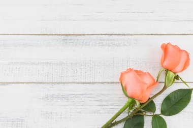 Beyaz ahşap zemin üzerinde kopya alanı ile turuncu gül