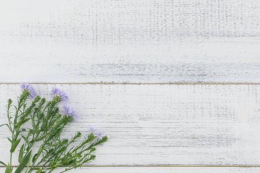 Beyaz ahşap arka plan kopya alanı ile yeşil dallarda çiçeklerle mor kesici