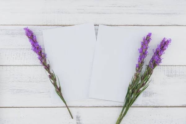 バイオレット リアトリス花背景で飾られた空白の白いカード — ストック写真