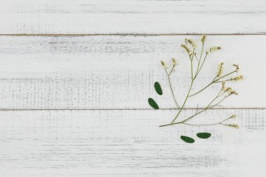 Sarı limonium caspia çiçek kopya alanı Beyaz ahşap zemin üzerine yeşil yaprakları ile