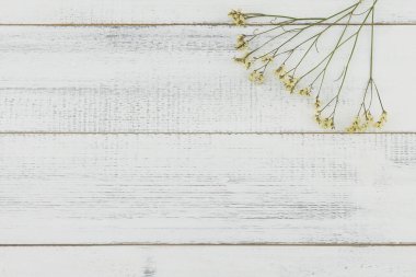 Sarı limonium caspia çiçekleri beyaz tahta arka plan ile kopya alanı