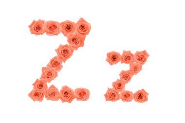 Harf Z, turuncu gül beyaz arka plan üzerinde izole yapılmış alfabesi