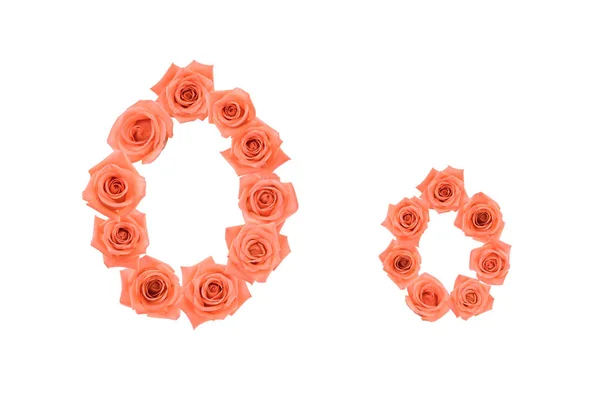 白い背景に分離されたオレンジ色のバラから作られたアルファベット — ストック写真