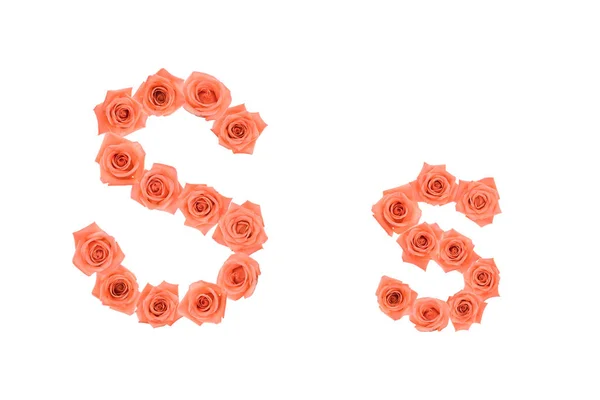 Γράμμα Αλφάβητο Κατασκευασμένα Από Πορτοκαλί Τριαντάφυλλα Που Απομονώνονται Λευκό Φόντο — Φωτογραφία Αρχείου