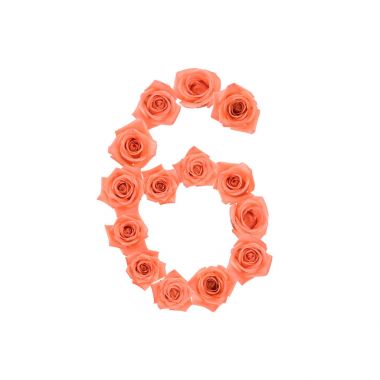 Turuncu gül beyaz arka plan üzerinde izole yapılmış numarası 6