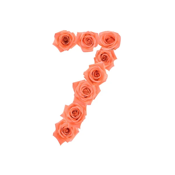 Νούμερο Από Πορτοκαλί Τριαντάφυλλα Που Απομονώνονται Λευκό Φόντο — Φωτογραφία Αρχείου