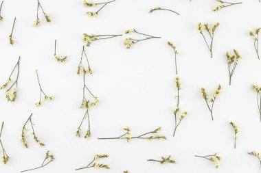 Sarı limonium caspia çiçek kopya alanı beyaz zemin üzerine yapılmış kare çelenk