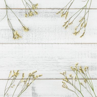 Sarı limonium caspia çiçekleri beyaz tahta arka plan ile kopya alanı