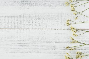 Sarı limonium caspia çiçekleri beyaz tahta arka plan ile kopya alanı