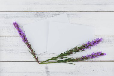 Boş beyaz kartı Menekşe liatris çiçekleri beyaz tahta arka plan ile dekore edilmiş