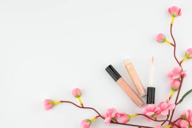 Sahte Pembe çiçek dalları kopya alanı ile beyaz arka plan üzerinde çıplak pembe dudak parlatıcısı süslenmiş