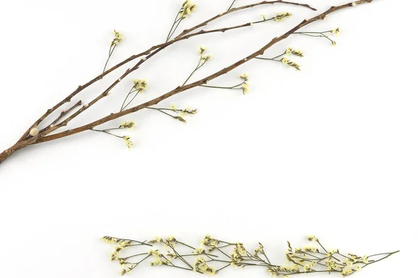 Sarı limonium caspia çiçeklerle kahverengi şube ve beyaz arka plan kopya alanı ile yere çiçekler