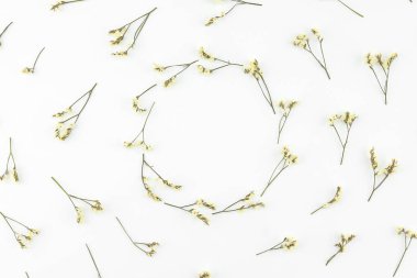 Sarı limonium caspia çiçek kopya alanı beyaz zemin üzerine yapılmış yuvarlak çelenk