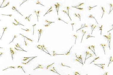 Sarı limonium caspia çiçek kopya alanı beyaz zemin üzerine yapılmış yuvarlak çelenk