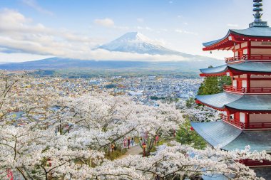Churieto Pagda and Fuji Mountain with Spring Sakura at Fujiyoshida , Japan clipart