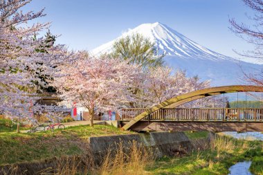 Fuji Dağı ve Sakura ağaçlar Kawaguchiko Gölü, Japonya