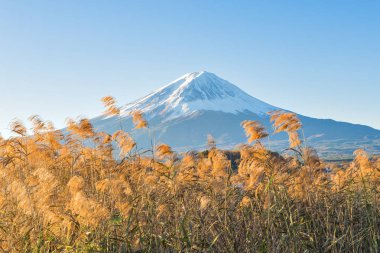 Açık gökyüzü gün Fuji Dağı Oishi Park, Lake Kawaguchiko, Japonya